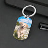 Custom Photo Don't Cry For Me - Memorial Metal Keychain Sympathy Gift, Gift For Pet Owners, Pet Lovers HO82 894494