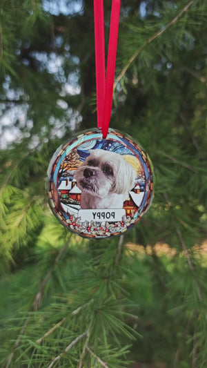 Custom Photo and Name Christmas Dog Cat Circle Glass Ornament HA75 891747