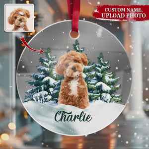 Custom Photo Dog Mirror Ornament For Christmas HA75 891883