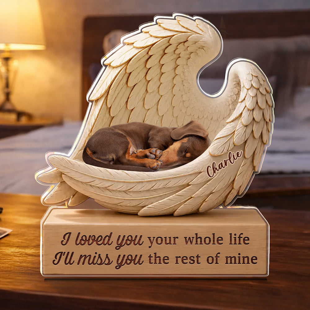 Custom Photo Memorial Sympathy Acrylic Block Plaque Gifts For Dogs, Cats Lover LM32 669643