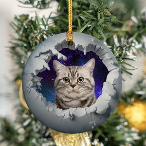 Custom Photo Cat With Galaxy Cat Ceramic Ornament TH10 891419