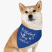 GeckoCustom Birthday Boy Girl Dog Bandana Personalized Custom Dog Bandana H575