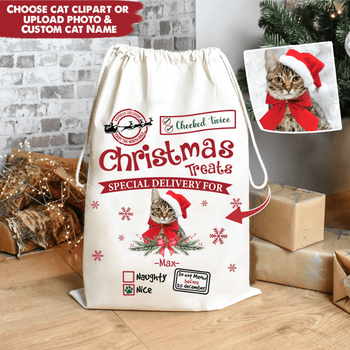GeckoCustom Christmas Treats Special Delivery For Cat Christmas Bag HN590 50x70 cm (Favorite)
