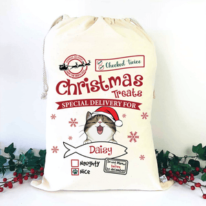 GeckoCustom Christmas Treats Special Delivery For Cat Christmas Bag HN590 50x80 cm