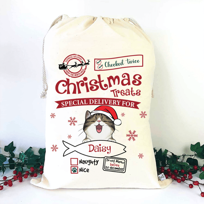 GeckoCustom Christmas Treats Special Delivery For Cat Christmas Bag HN590 50x80 cm