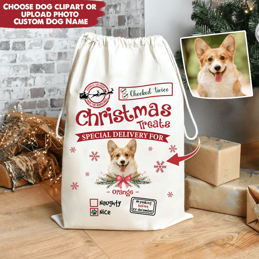 GeckoCustom Christmas Treats Special Delivery For Dog Santa Sack HN590 12 x 18 Inch