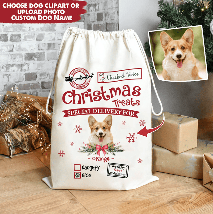 GeckoCustom Christmas Treats Special Delivery For Dog Christmas Sack HN590 50x70 cm