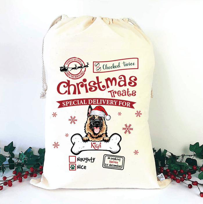 GeckoCustom Christmas Treats Special Delivery For Dog Santa Sack HN590