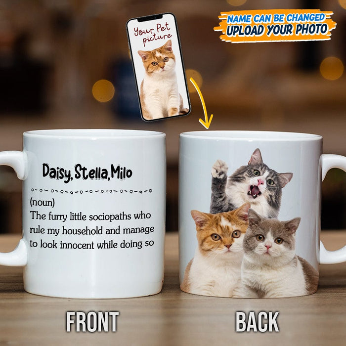 GeckoCustom Custom Photo Cat Definition Coffee Mug N304 889142