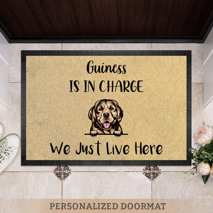 GeckoCustom Dogs Are In Charge We Just Live Here Doormat, Dog Lover Gift HN590