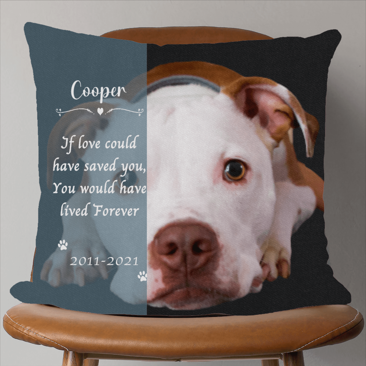 GeckoCustom If You Could Have Saved, Custom Pet Photo Pillow, Personalized Gift For Dog Lovers SG02 14"x14" / Pack 1