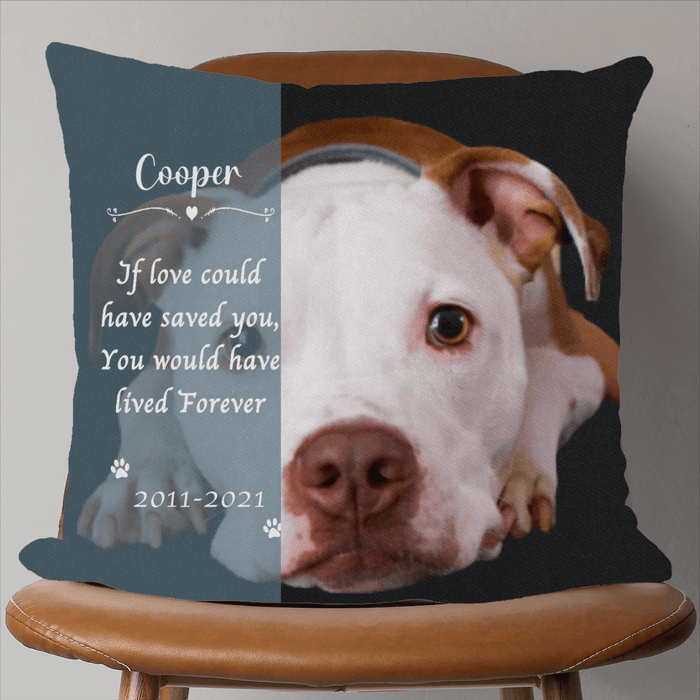 GeckoCustom If You Could Have Saved, Custom Pet Photo Pillow, Personalized Gift For Dog Lovers SG02 18"x18" / Pack 1