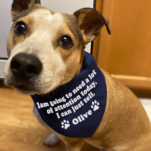 GeckoCustom Personalized Custom Dog Bandana, I'm Going To Need A Lot Of Attention, Dog Lover Gift