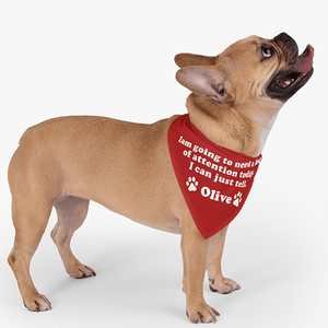 GeckoCustom Personalized Custom Dog Bandana, I'm Going To Need A Lot Of Attention, Dog Lover Gift