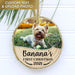 GeckoCustom Pet's First Christmas 2021 Dog Cat Wood Slice Ornament HN590 ONE SIDE / 3.2 - 3.5 in / 3 Pieces
