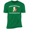 GeckoCustom Shenanigans Coordinator Premium Tee / Kelly Green / X-Small