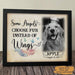 GeckoCustom Some Angels Choose Fur Memorial Dog Picture Frame 10"x8"