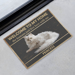 GeckoCustom Welcome To The Pet Home Personalized Custom Photo Dogs Cats Pets Doormats C597