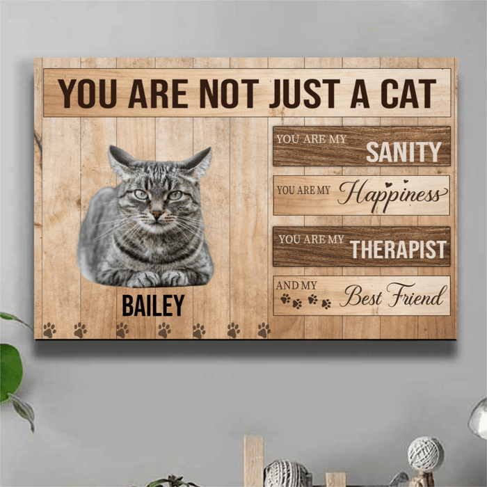 GeckoCustom You Are Not Just A Pet, You Are My Sanity, Happiness, Best Friends, Cat Print Canvas, SG02