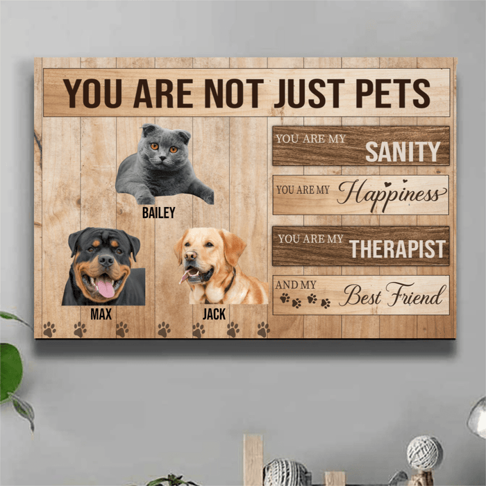GeckoCustom You Are Not Just A Pet, You Are My Sanity, Happiness, Best Friends, Cat Print Canvas, SG02
