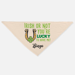 GeckoCustom You're Lucky To Have Me St. Patrick's Day Personalized Dog Cat Pet Bandana C622