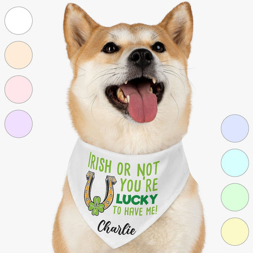 GeckoCustom You're Lucky To Have Me St. Patrick's Day Personalized Dog Cat Pet Bandana C622 23.5"x16"