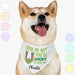 GeckoCustom You're Lucky To Have Me St. Patrick's Day Personalized Dog Cat Pet Bandana C622 23.5"x16"
